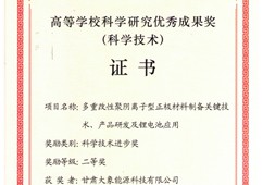 教育部科学技术进步二等奖